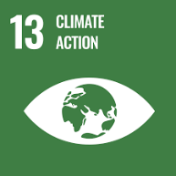 SDG 31